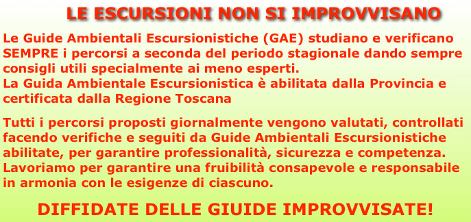                LE ESCURSIONI NON SI IMPROVVISANO

Le Guide Ambientali Escursionistiche (GAE) studiano e verificano SEMPRE i percorsi a seconda del periodo stagionale dando sempre consigli utili specialmente ai meno esperti.
La Guida Ambientale Escursionistica è abilitata dalla Provincia e certificata dalla Regione Toscana

Tutti i percorsi proposti giornalmente vengono valutati, controllati facendo verifiche e seguiti da Guide Ambientali Escursionistiche abilitate, per garantire professionalità, sicurezza e competenza.
Lavoriamo per garantire una fruibilità consapevole e responsabile in armonia con le esigenze di ciascuno.

DIFFIDATE DELLE GIUIDE IMPROVVISATE!